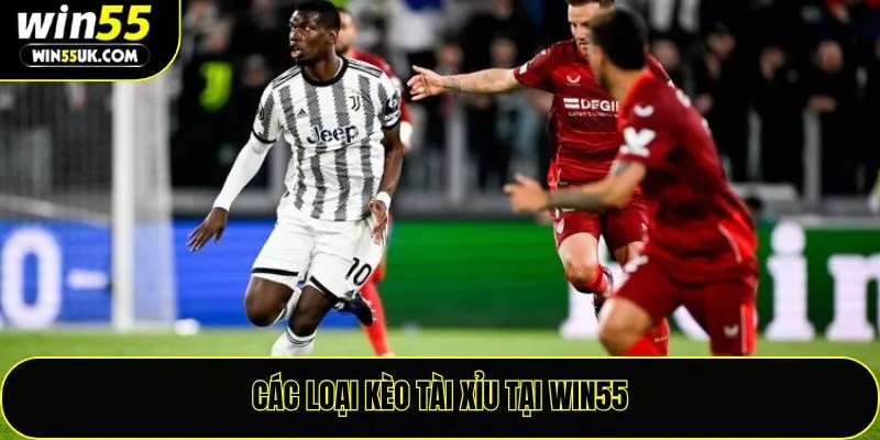 Các loại kèo tài xỉu tại Win55