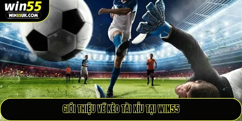 Giới thiệu về kèo tài xỉu tại Win55
