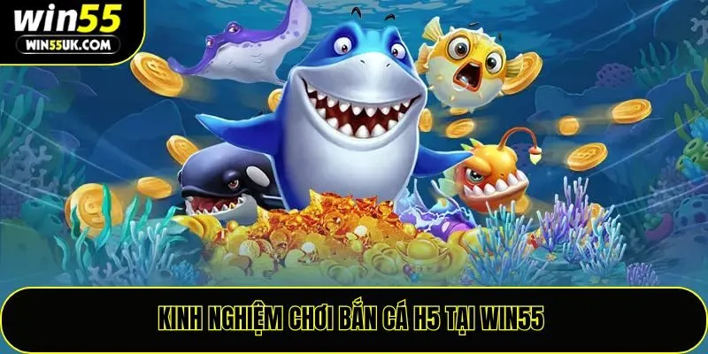Kinh nghiệm chơi bắn cá H5 tại Win55
